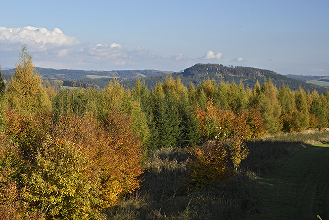 Ve strnch nad Skalkou - men formt