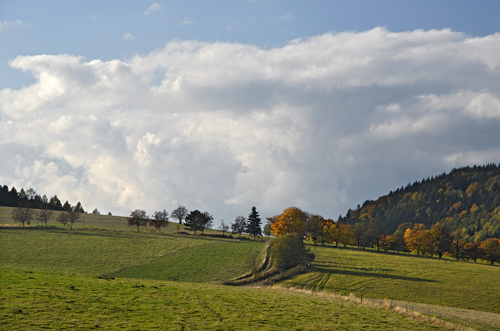 Ve strnch nad Skalkou - vt formt