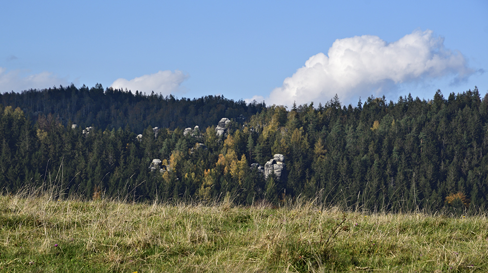Hillside near "Skalka" - larger format