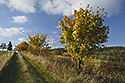 Hillside near "Skalka" - main link
