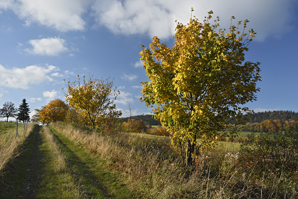 Ve strnch nad Skalkou - vt formt