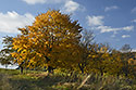 Hillside near "Skalka" - main link