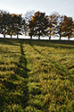 Hillside near "Skalka" - main link