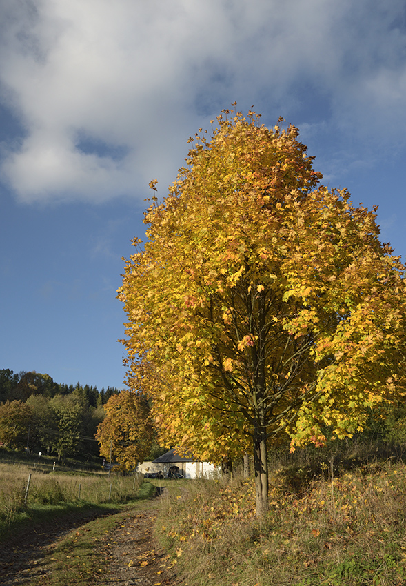 Ve strnch nad Skalkou - vt formt