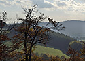 View from the castle - main link