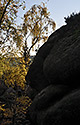 In rocks - main link
