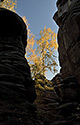 In rocks - main link