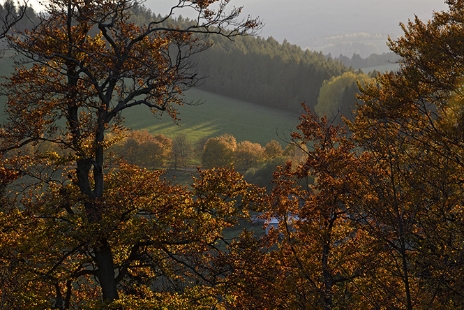 View from the castle - smaller format