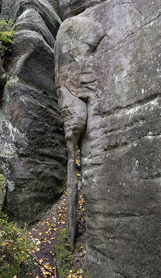 Elephant head - smaller format