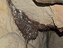 Koenov stalaktit - hlavn odkaz