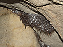 Koenov stalaktit - hlavn odkaz