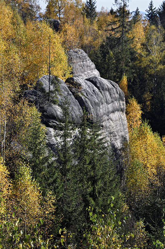 Podzim ve skalách - větší formát