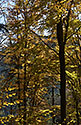 Autumn in rocks - main link