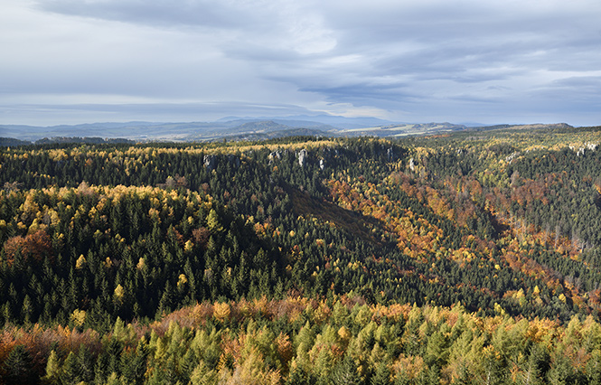 Panorama - men formt