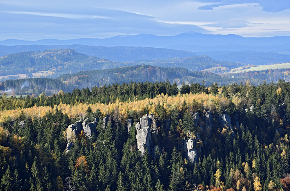 Panorama - larger format