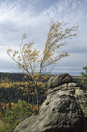 Ve skalch - men formt