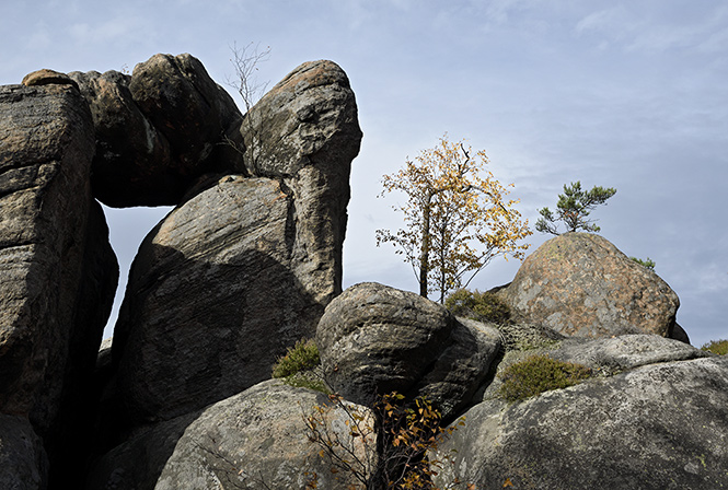 Ve skalch - men formt