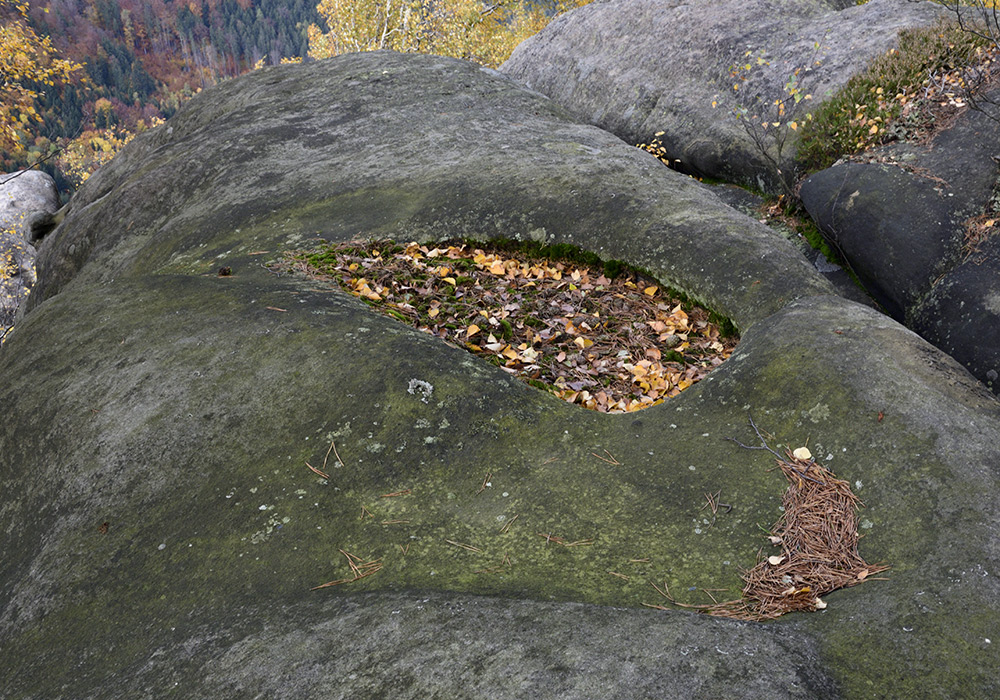 Rock dishes - larger format