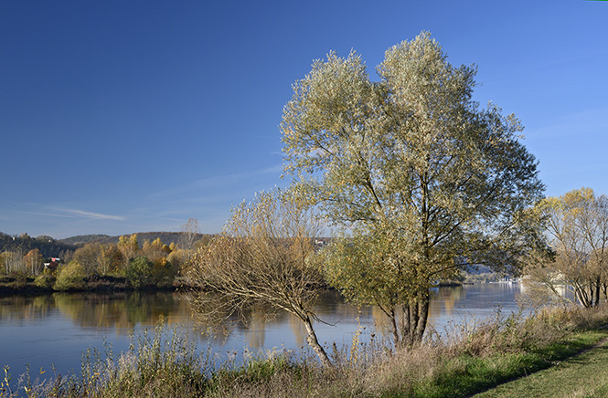 U Vltavy - men formt