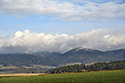 Maple Hills - main link