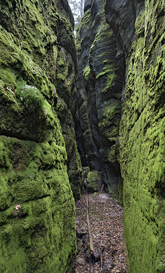In the gorge - smaller format