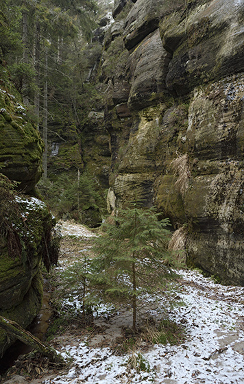 In the gorge - smaller format
