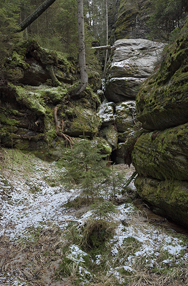 In the gorge - smaller format