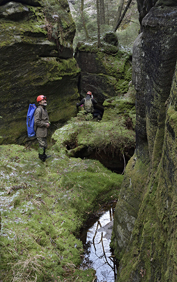 In the gorge - smaller format