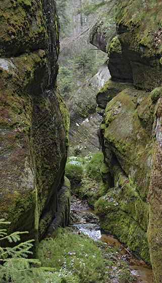 In the gorge - smaller format