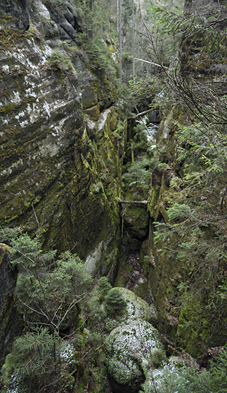 In the gorge - smaller format