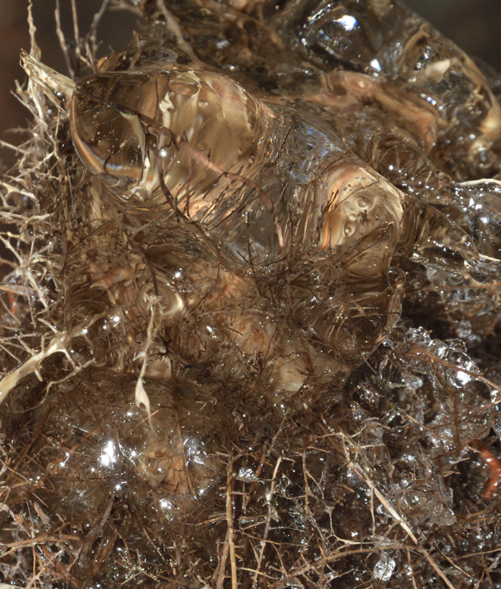 The top of a root stalagmite - larger format