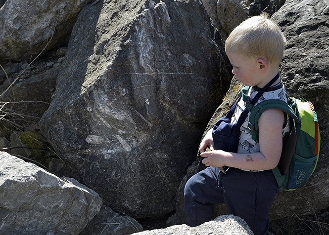 Meeting of Palaeozoic and Quaternary - smaller format