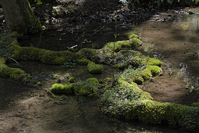 Travertin cascades - smaller format