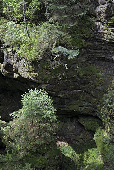In the gorge - smaller format