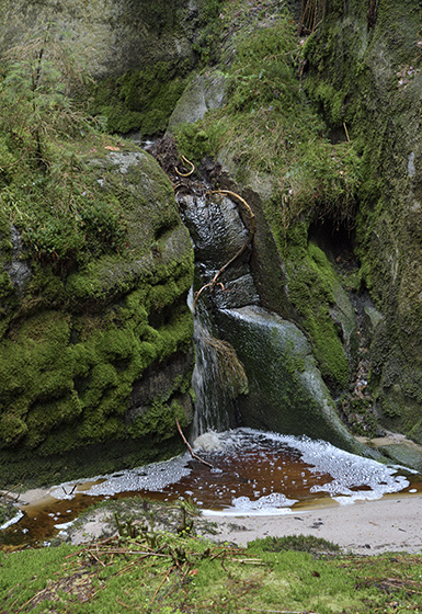 In the gorge - smaller format