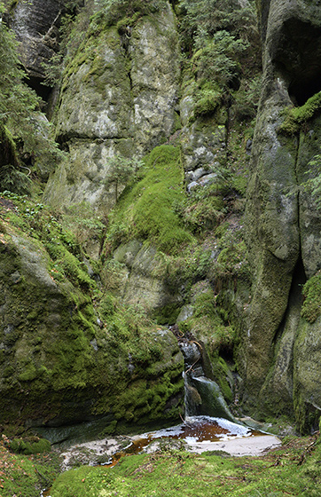 In the gorge - smaller format
