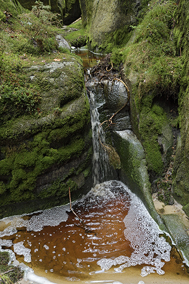In the gorge - smaller format