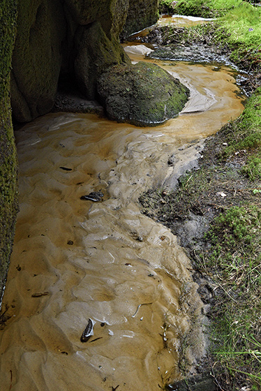 In the gorge - smaller format