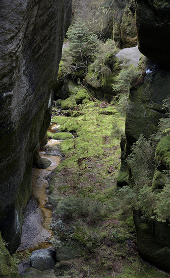 In the gorge - smaller format