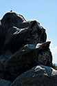 Na skalách - hlavní odkaz