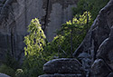 Over the "Smith`s Gorge" - main link