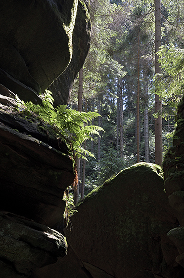 Vista from the gorge - larger format - smaller format
