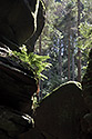 Vista from the gorge - larger format - main link