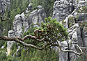 View to the "Rock Island" - main link