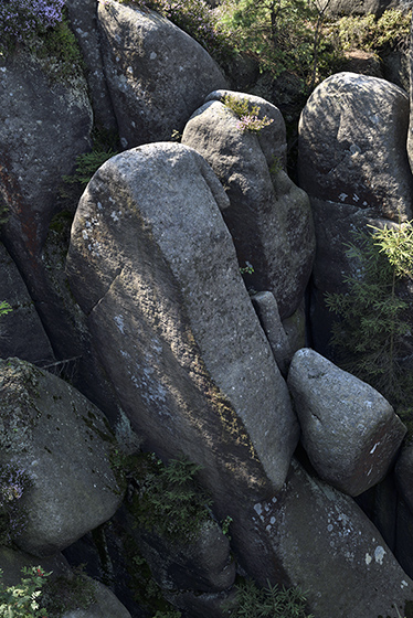 On the rock - smaller format
