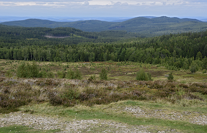 On "Houpk Hill" - smaller format