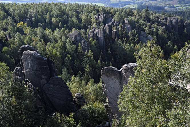 Kovova rokle - men formt