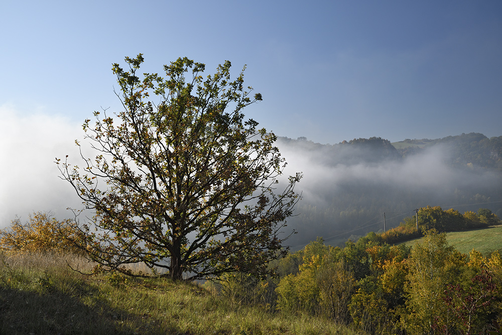 Rno nad Berounkou - vt formt