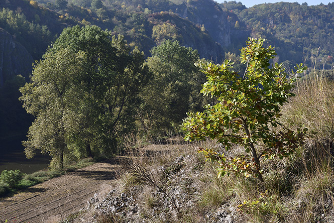 Rno nad Berounkou - men formt