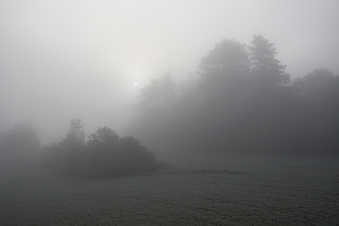 Foggy morning - smaller format